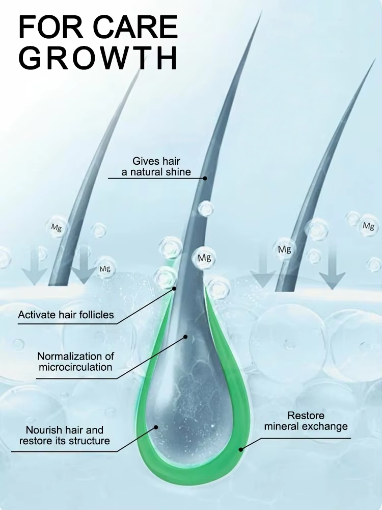 Atualize sua rotina diária de  - Hair Care Daily Routine avaliação e preço